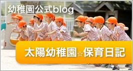 太陽幼稚園ブログ